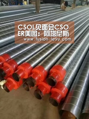 CSOL见面会CSOER美图:阿塔尼斯领衔:乐鱼官网(图2) 乐鱼体育