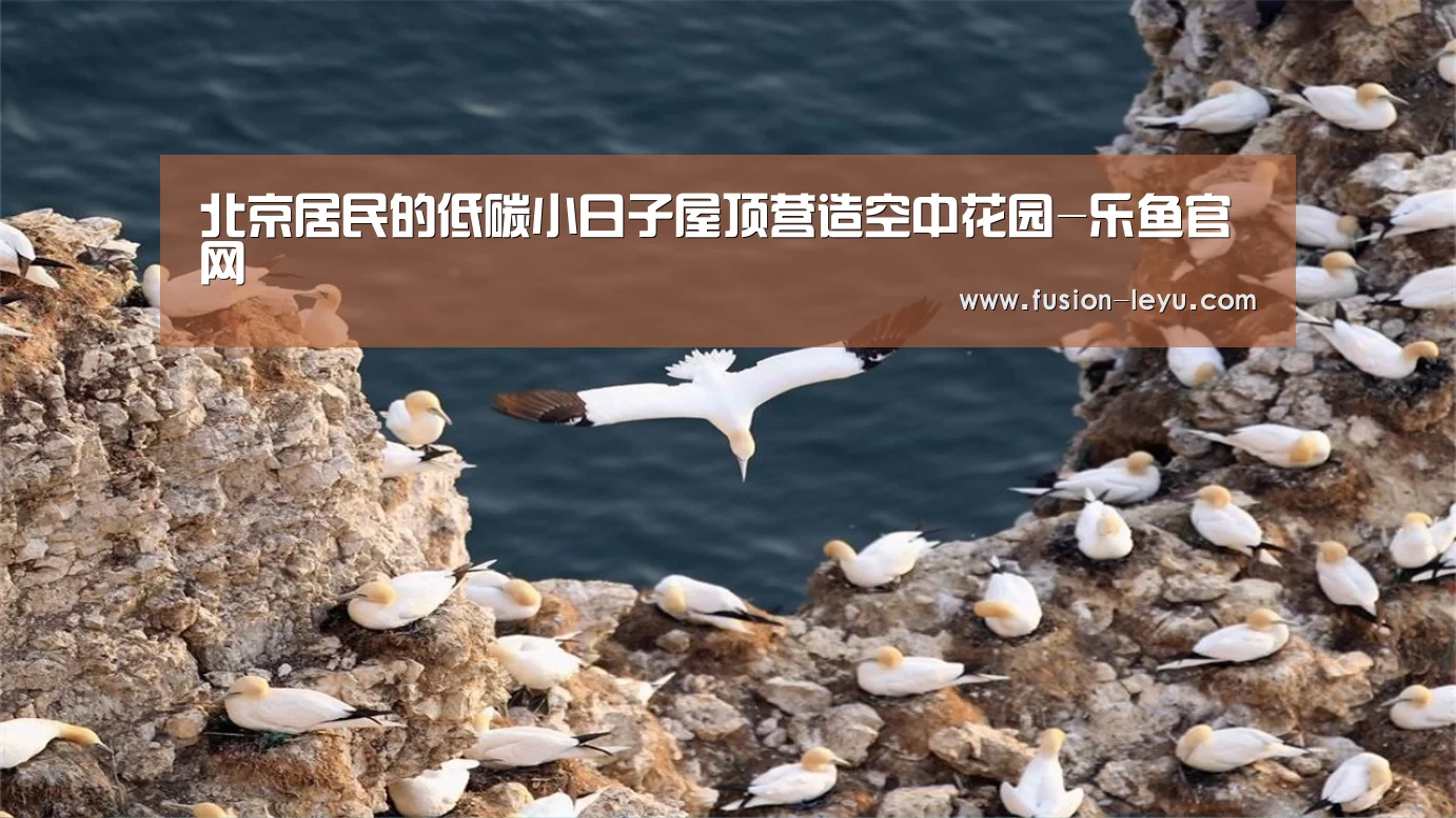 北京居民的低碳小日子屋顶营造空中花园-乐鱼官网