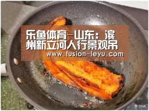 乐鱼体育-山东：滨州新立河人行景观吊桥将完工