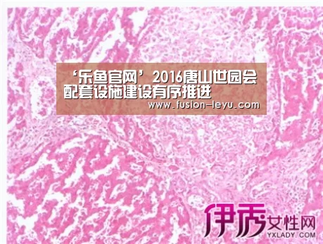 ‘乐鱼官网’2016唐山世园会配套设施建设有序推进